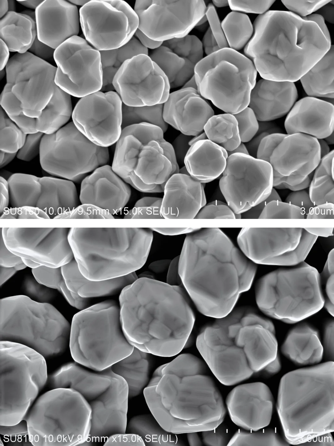 你的样品又双叒翻车了吗？SEM制样避坑指南