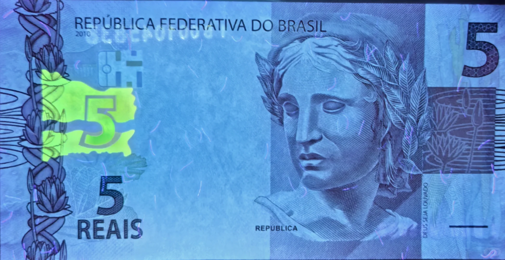 每日一钞：巴西5雷亚尔纸币