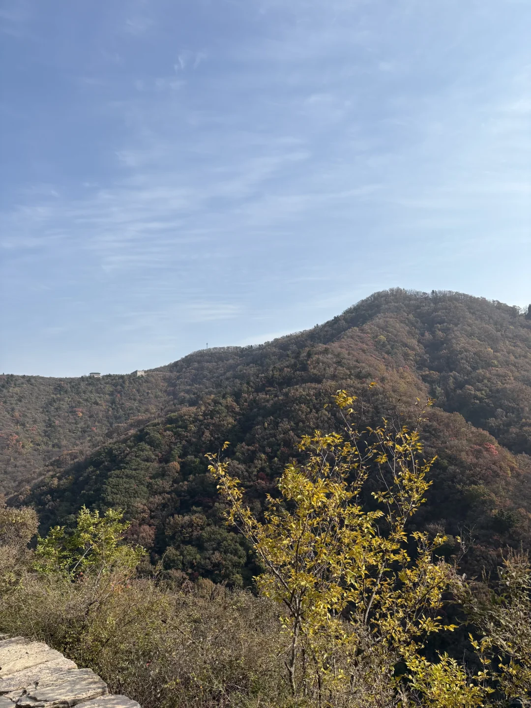 巩义达西沟赏红叶保姆级攻略?