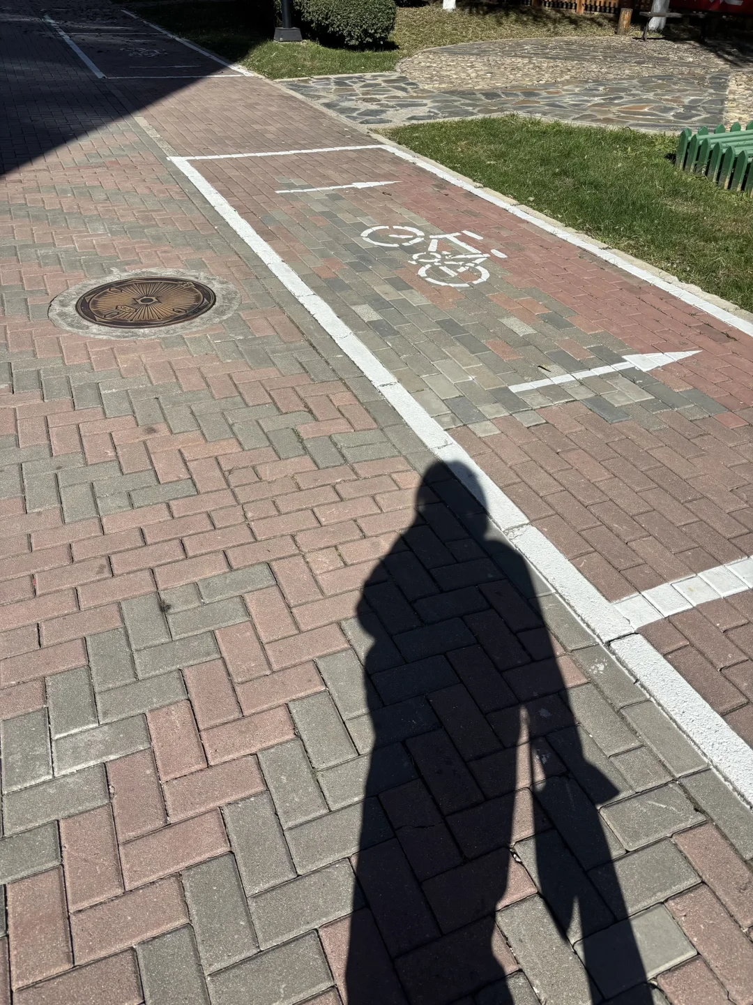 维生素D最充足的一集