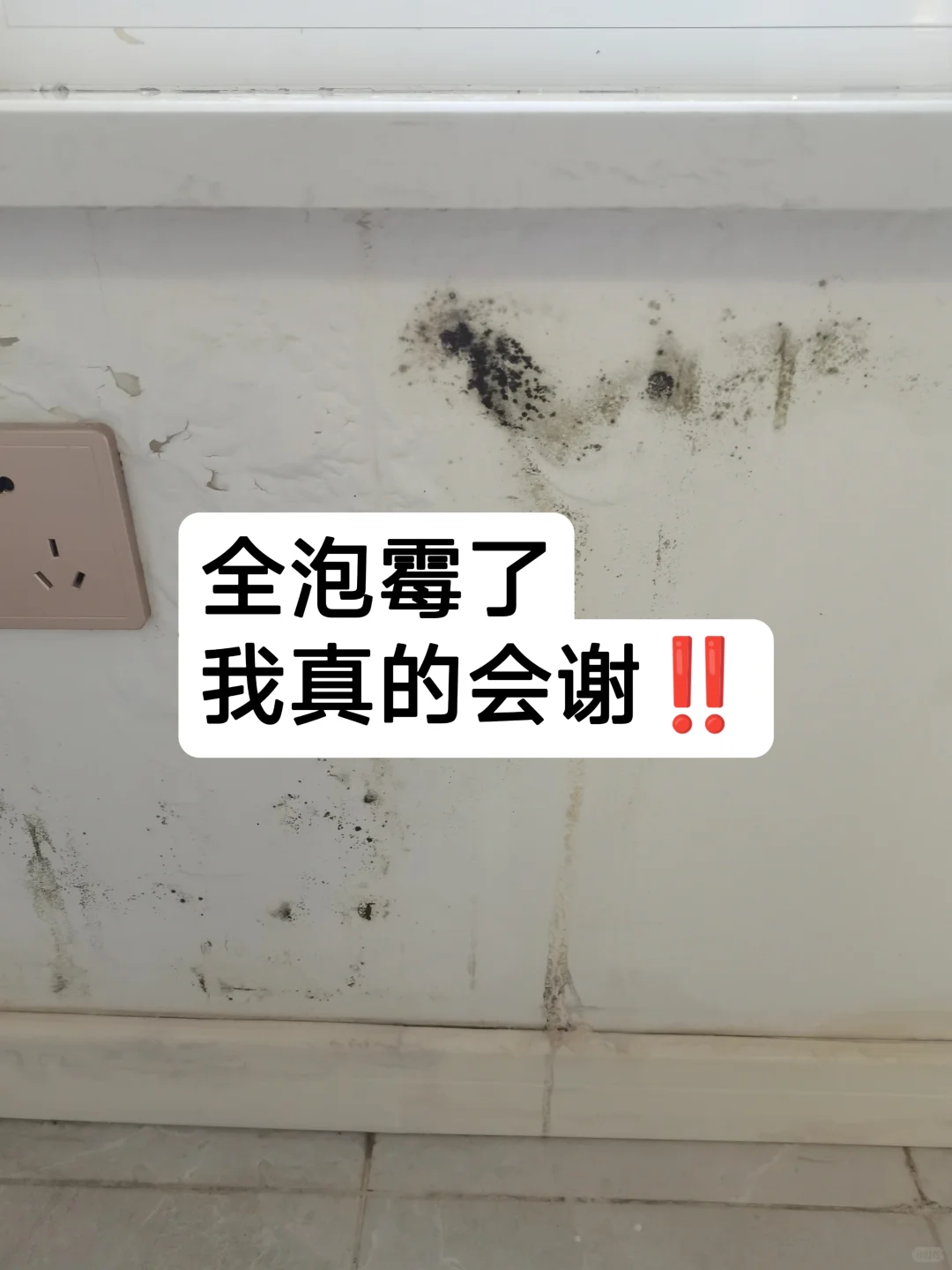 北京洪水墙面泡发霉了！！