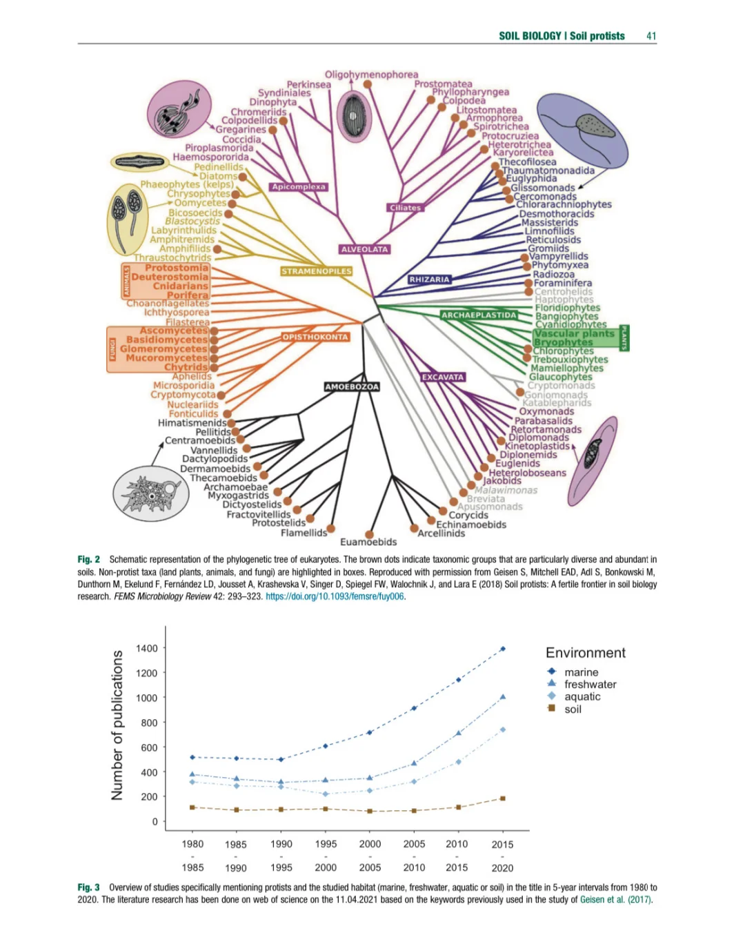 环境土壤学百科全书 第二版