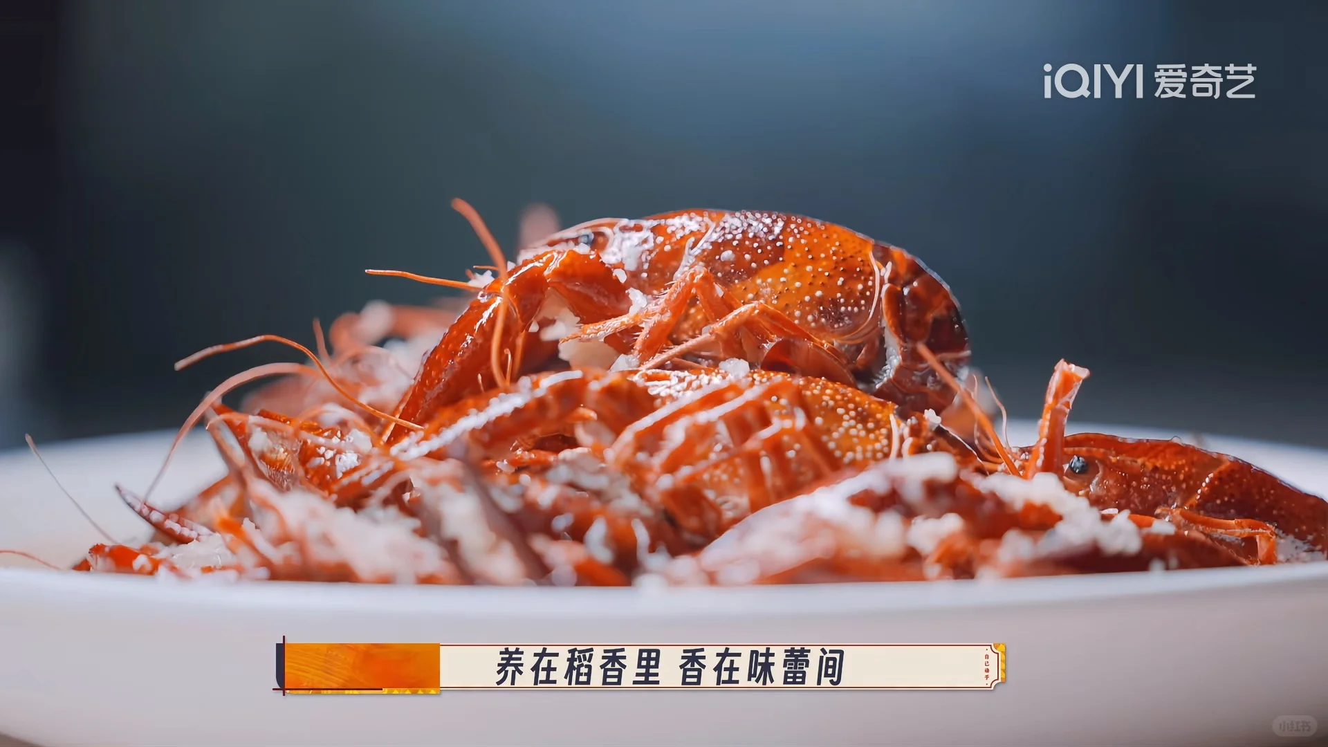 种地吧游学季素材积累——盱眙龙虾