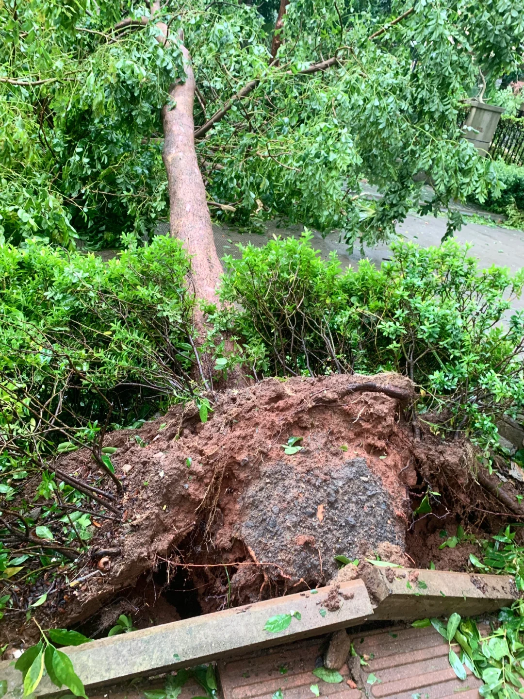 台风“摩羯”后的家?｜断桥铝门窗的重要性
