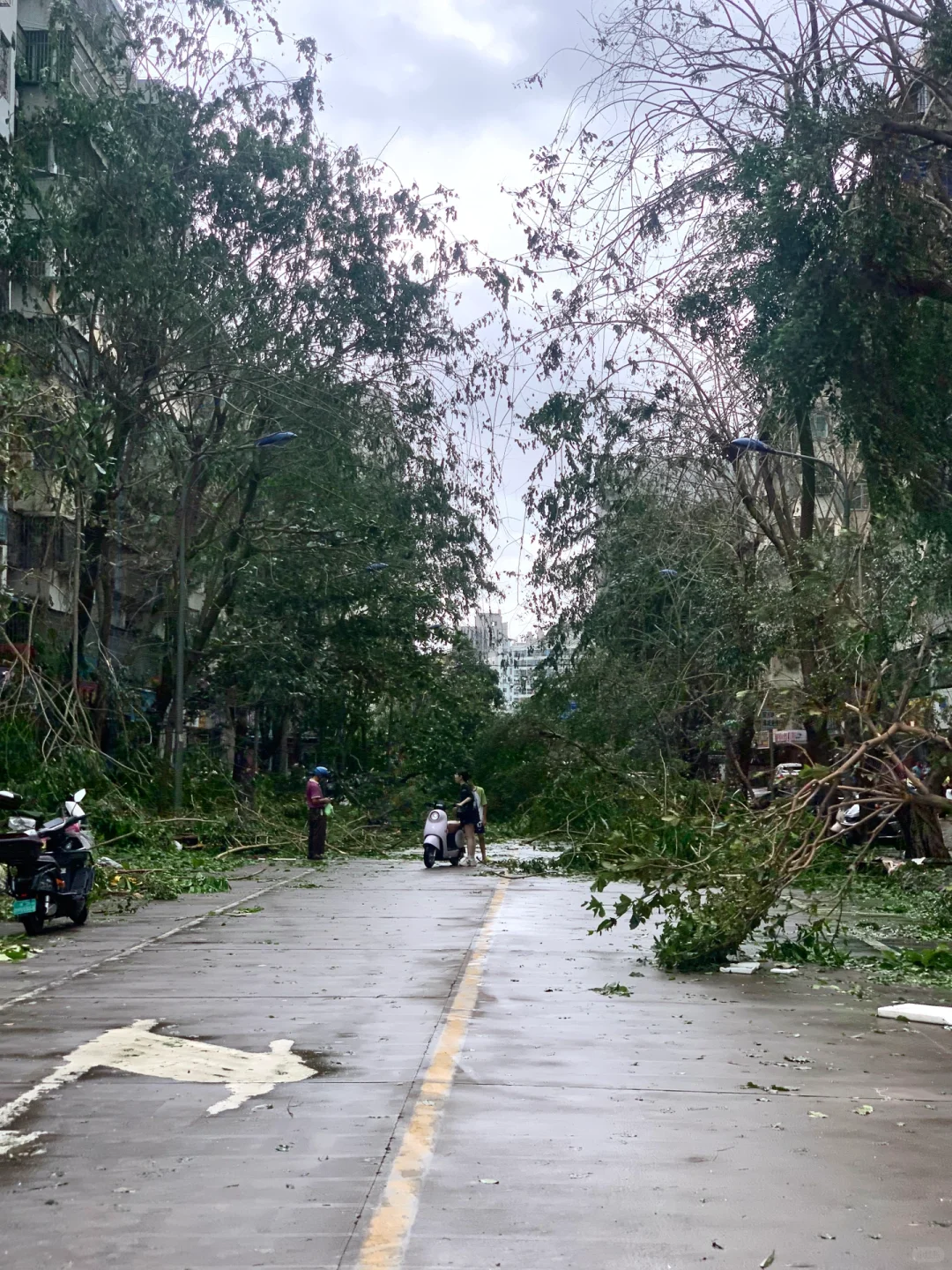 台风“摩羯”后的家?｜断桥铝门窗的重要性