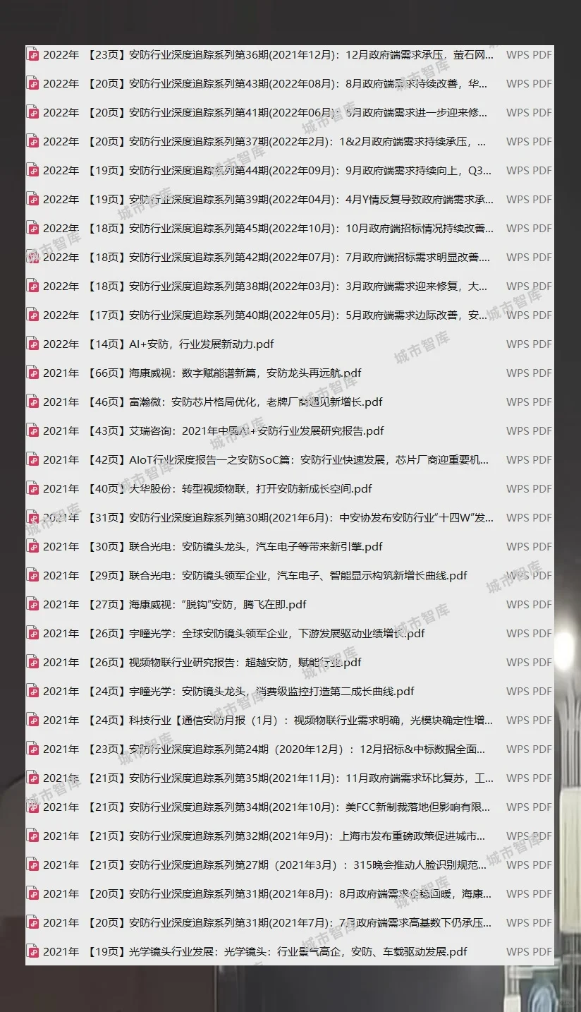 安防行业报告2025人工智能与视频监控市场趋