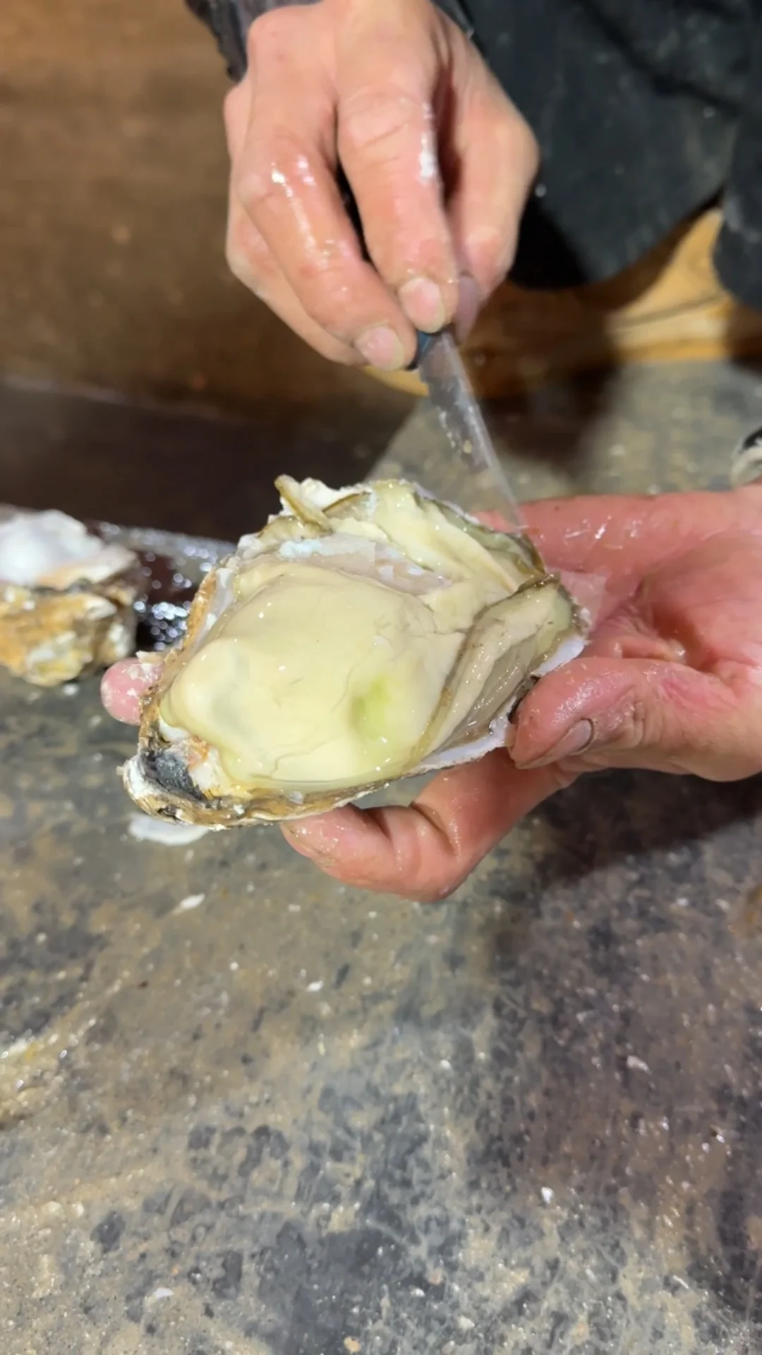 揭秘!古法养殖的生蚝上餐桌前的神秘之旅