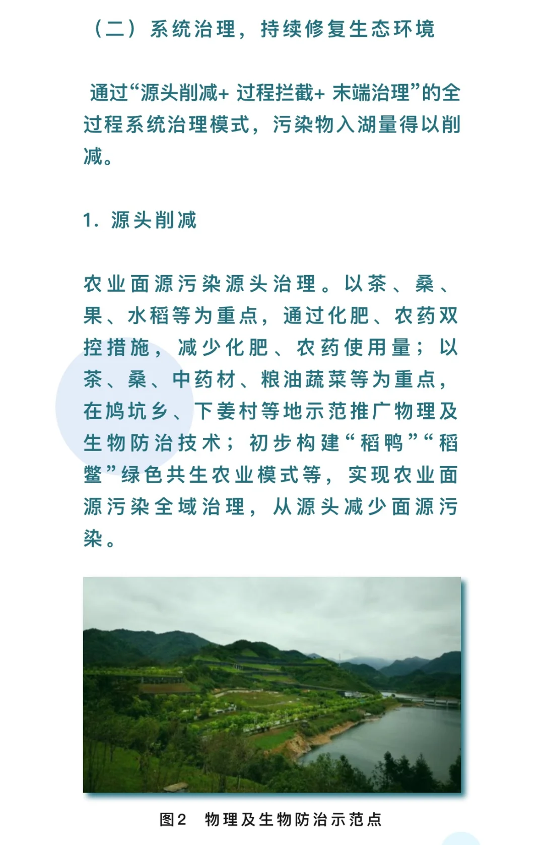 千岛湖流域水环境系统生态修复项目