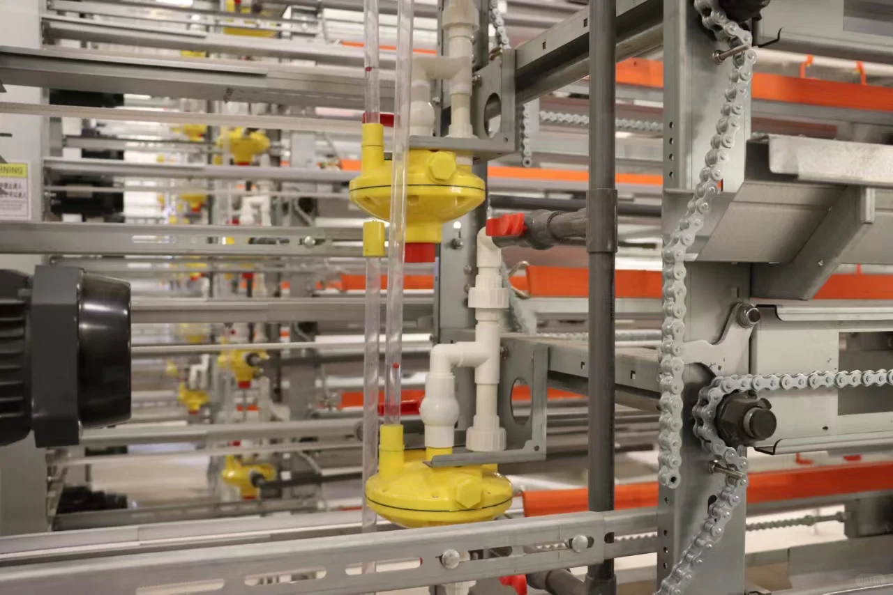 华泰金羽，打造世界一流鹌鹑养殖设备