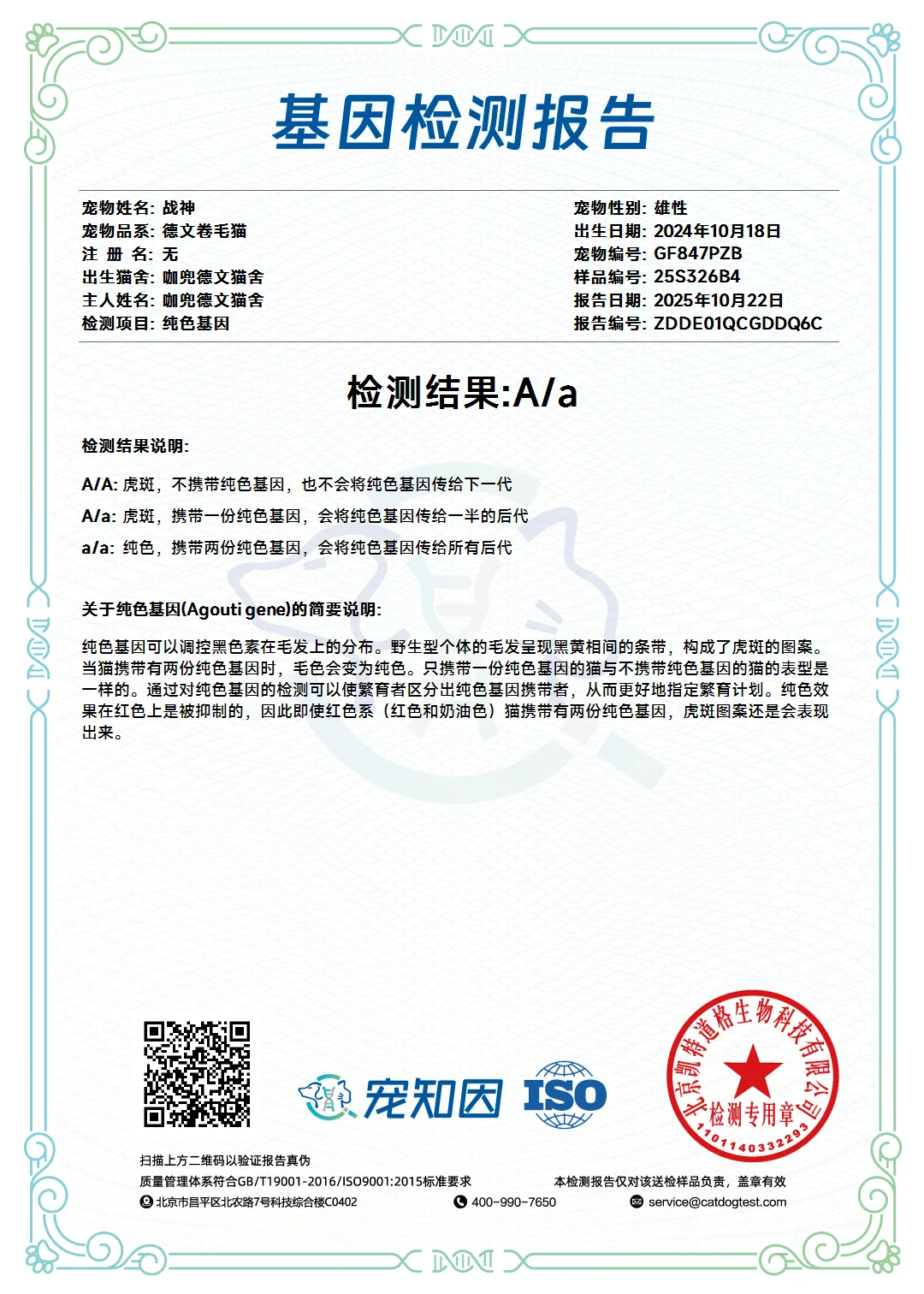 ❤️P血种公——战神? 宠知音基因检测报告