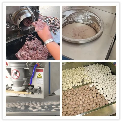 智能未来：探索鱼类加工设备的自动化之路