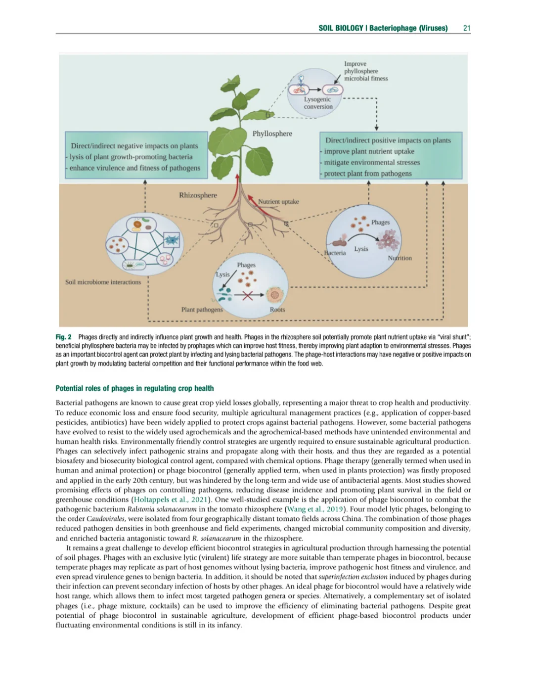 环境土壤学百科全书 第二版