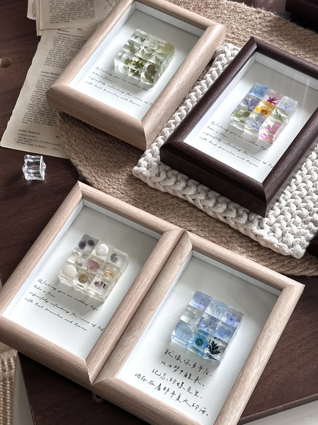 初夏??꙳⋆?♡ ◟