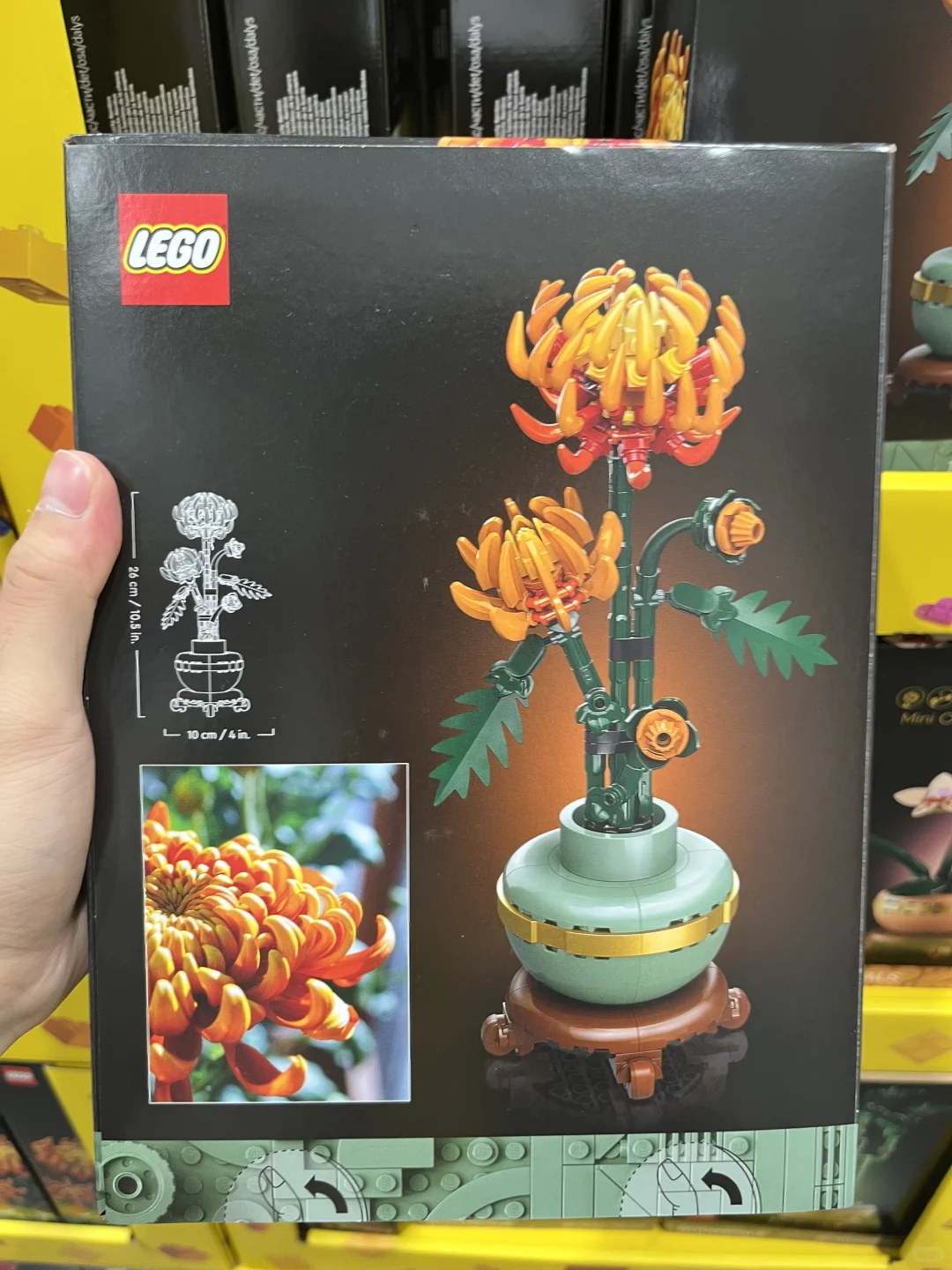 卧卧卧！！山姆新品玩具集合篇！10月12日版本