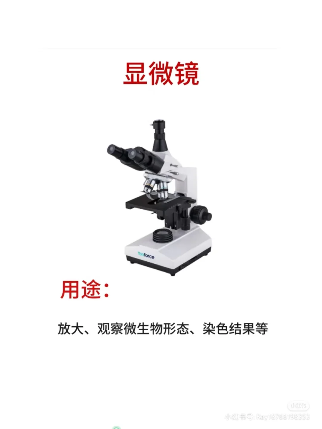 微生物实验室 常用仪器设备&注意事项