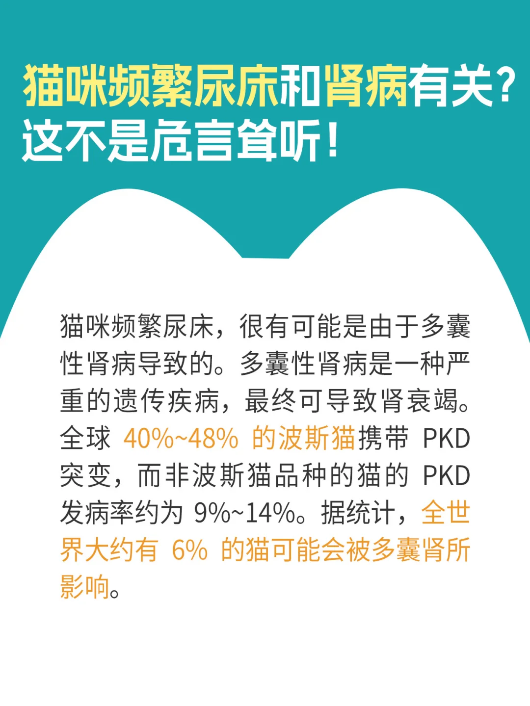 猫咪频繁尿床和肾病有关？这不是危言耸听！