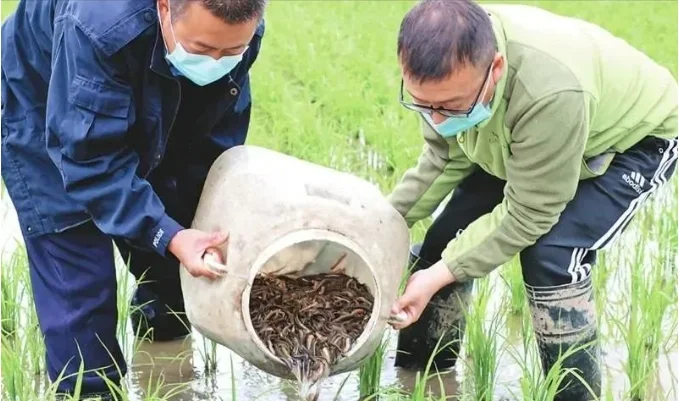小泥鳅，大财富，掀起你的创业浪潮！