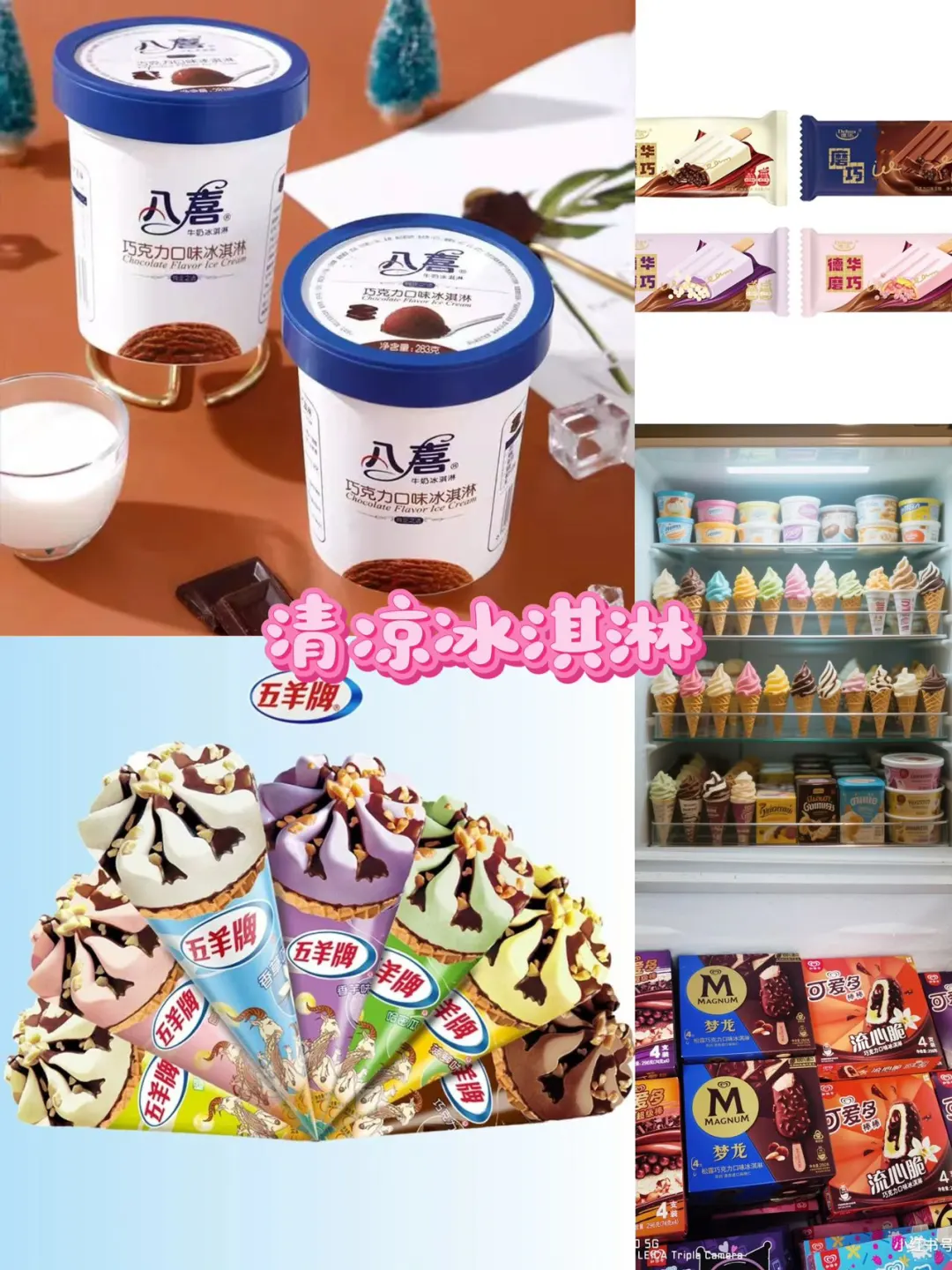 ? 【华味世享】冷冻柜出海