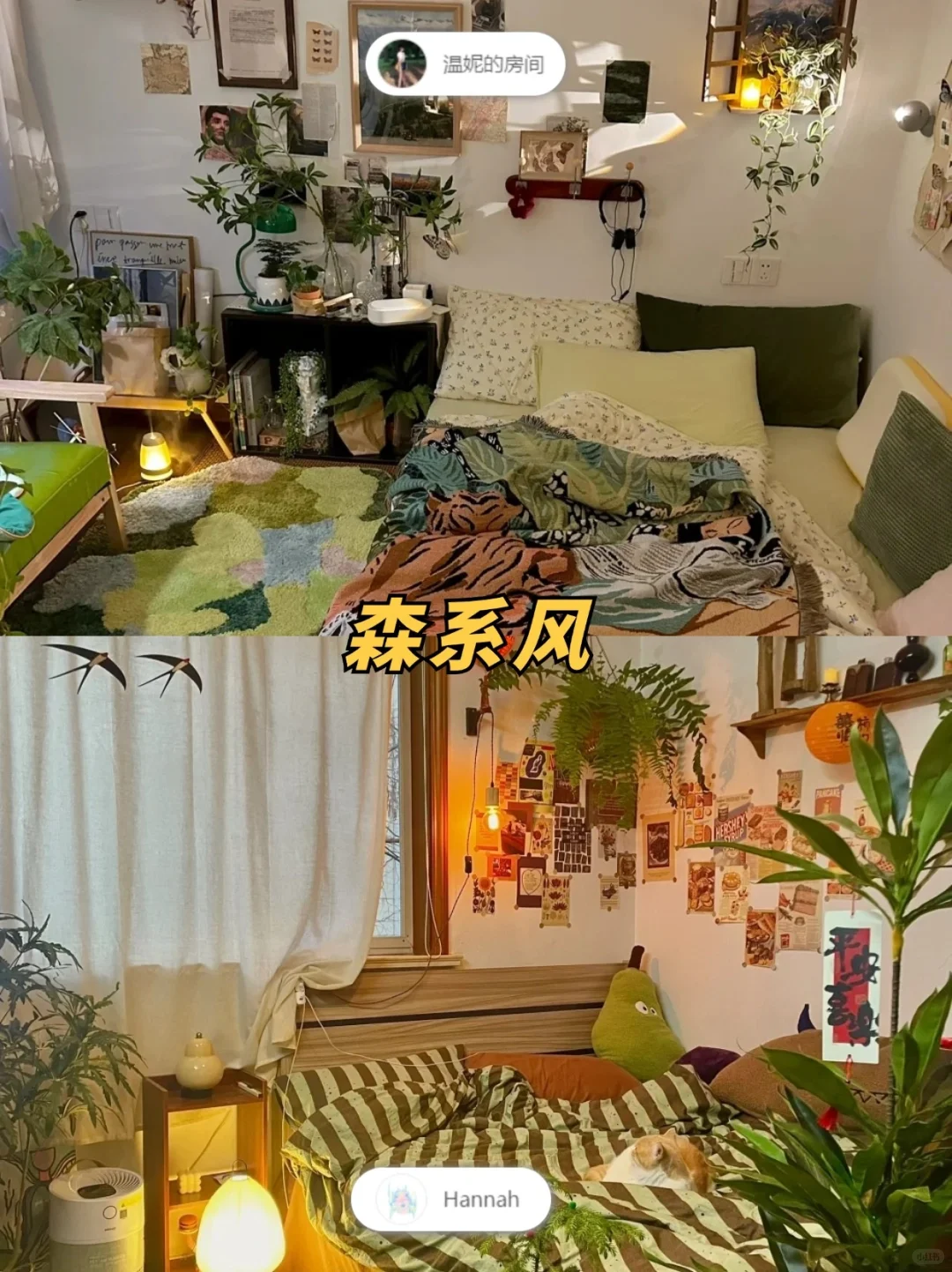 热门房间布置风格大全❗(布置第一步:定风格