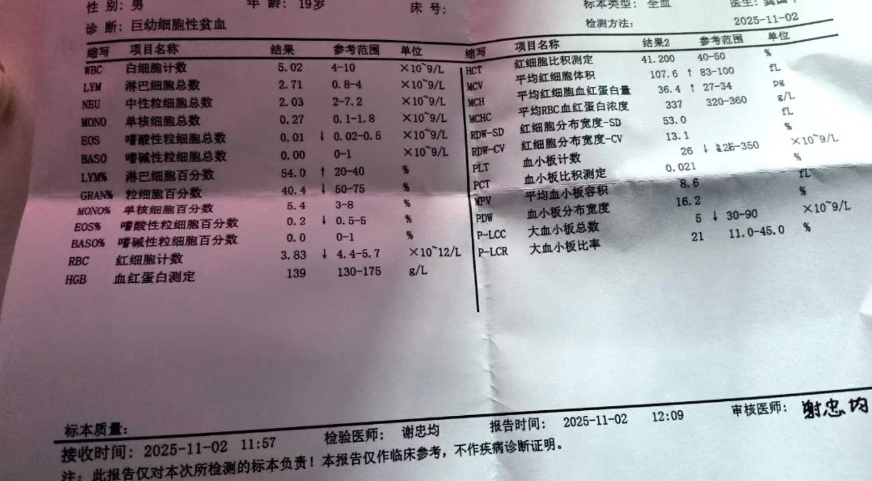 血常规和骨穿做完应该做什么呢