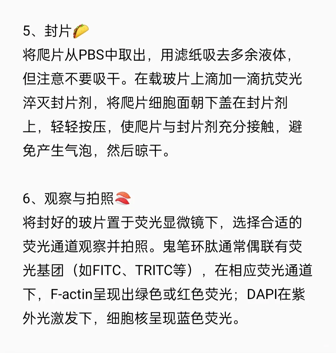 鬼笔环肽染色实验流程