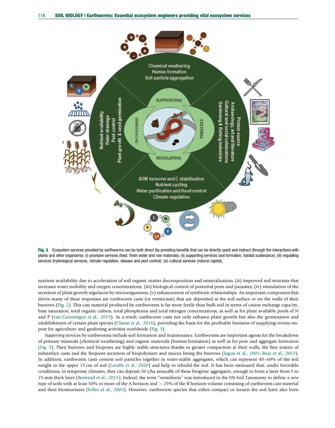 环境土壤学百科全书 第二版