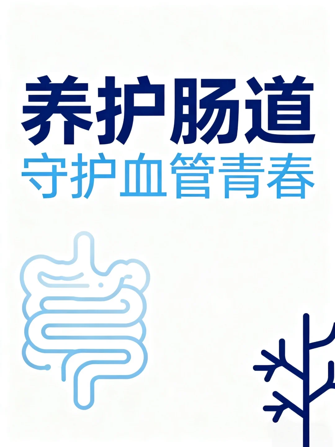 肠道决定血管命运?肠血管轴大揭秘
