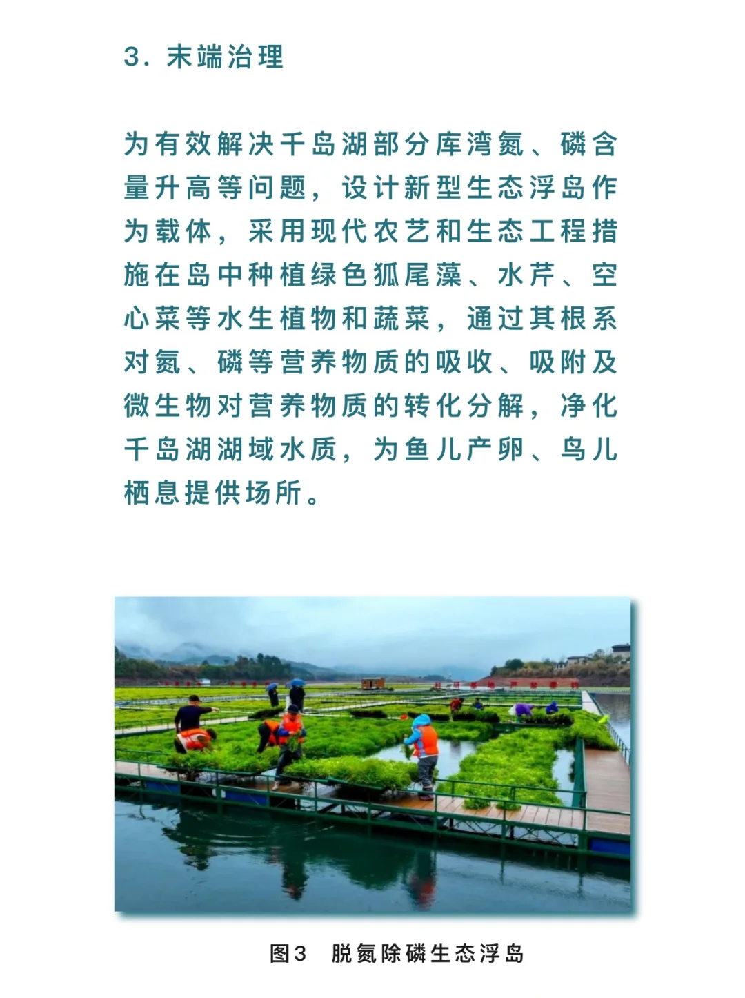 千岛湖流域水环境系统生态修复项目