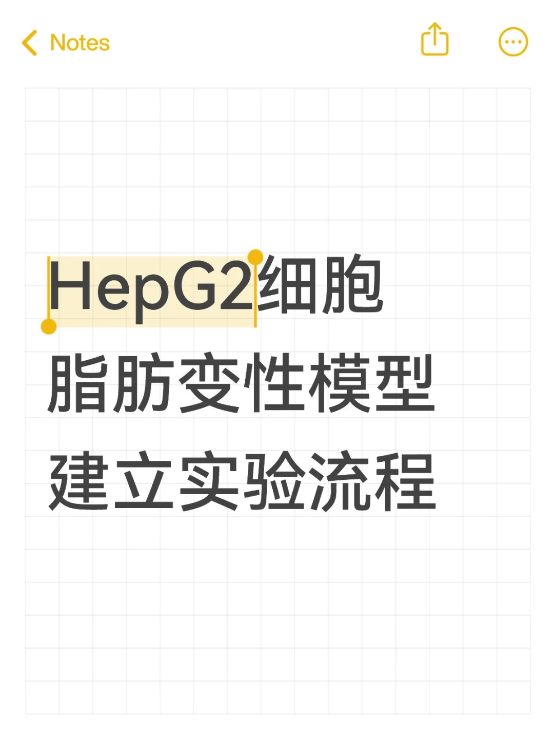 HepG2细胞脂肪变性模型建立实验流程