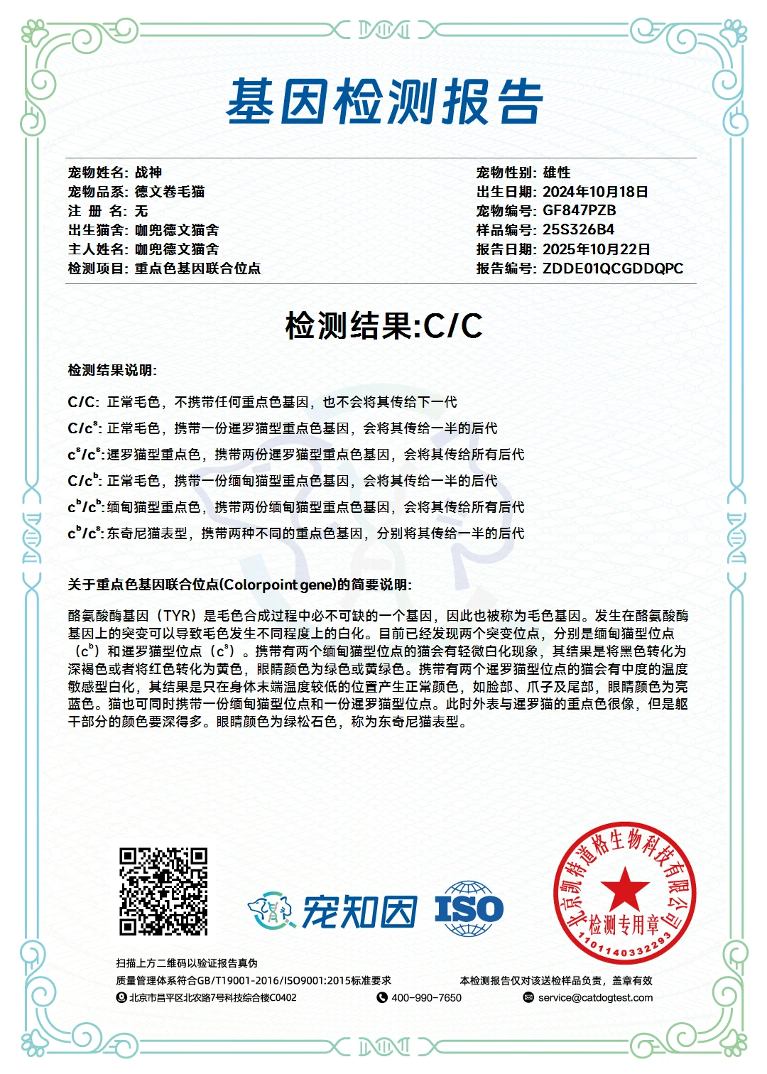 ❤️P血种公——战神? 宠知音基因检测报告