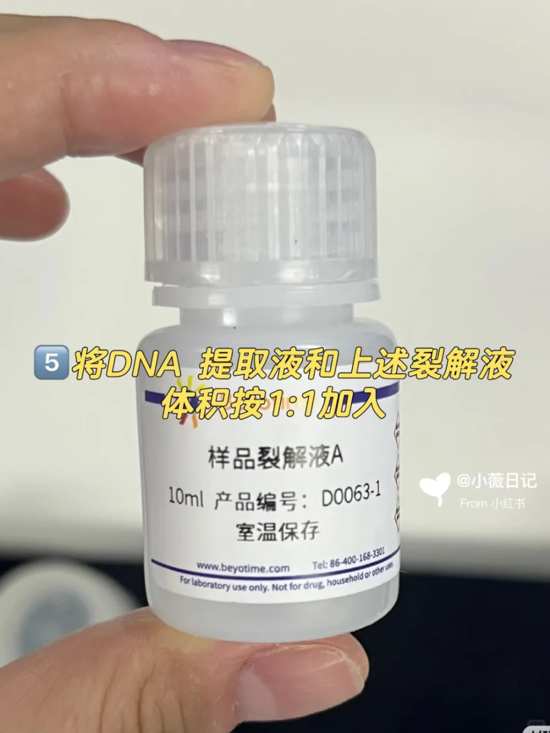 线粒体DNA拷贝数检测protocol详解✅