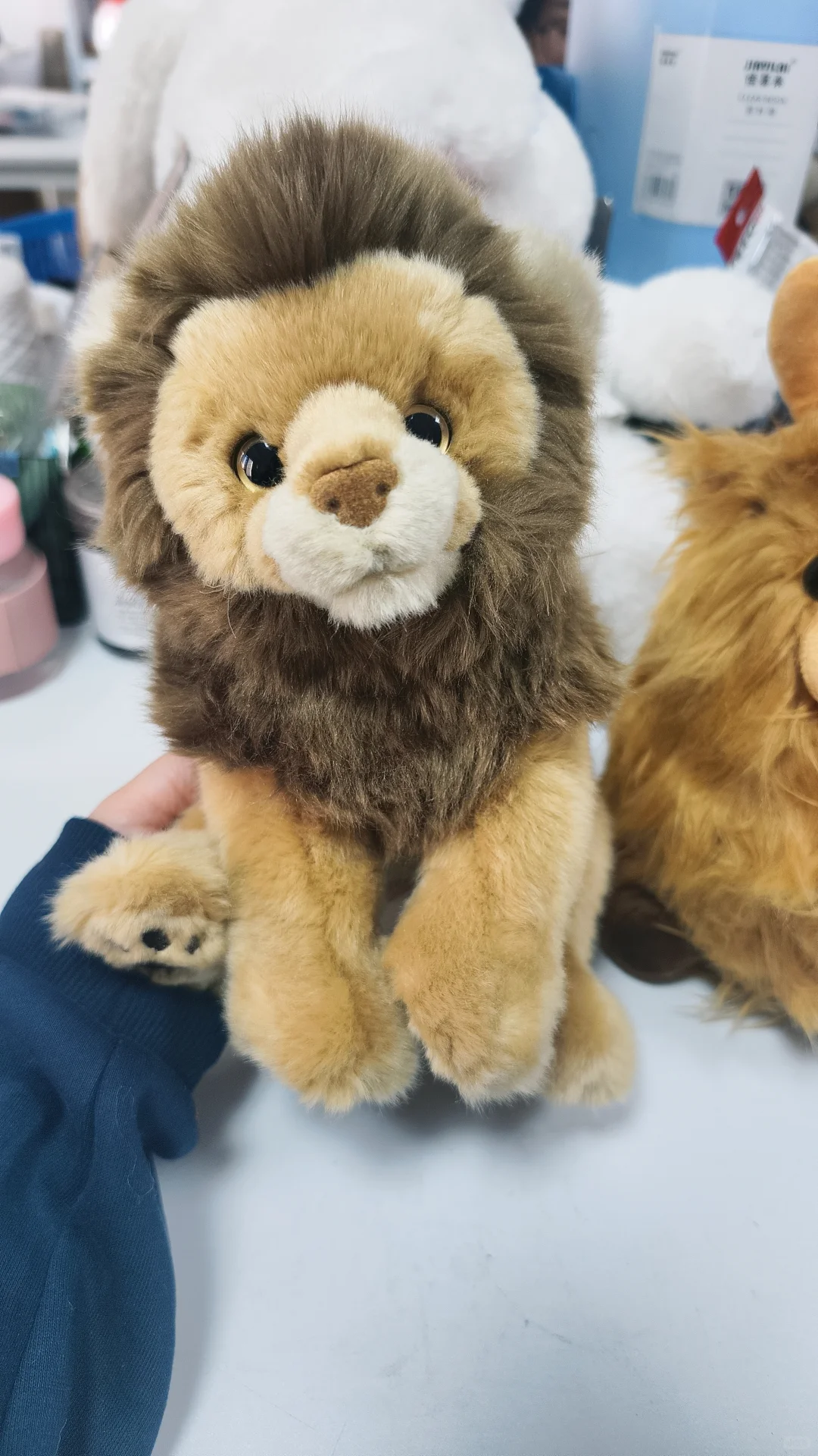 在深秋开启热爱的旅程