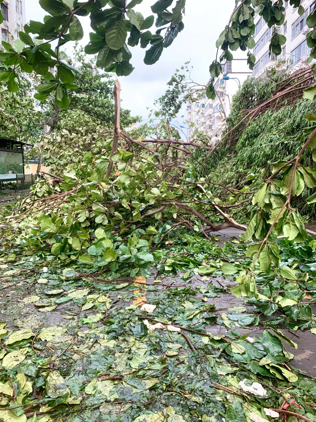 台风“摩羯”后的家?｜断桥铝门窗的重要性