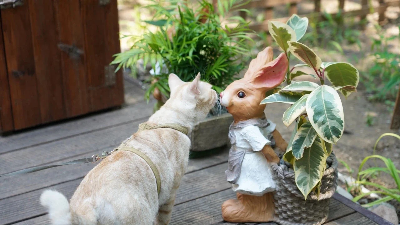 开学体检 到底都有哪些项目呢？