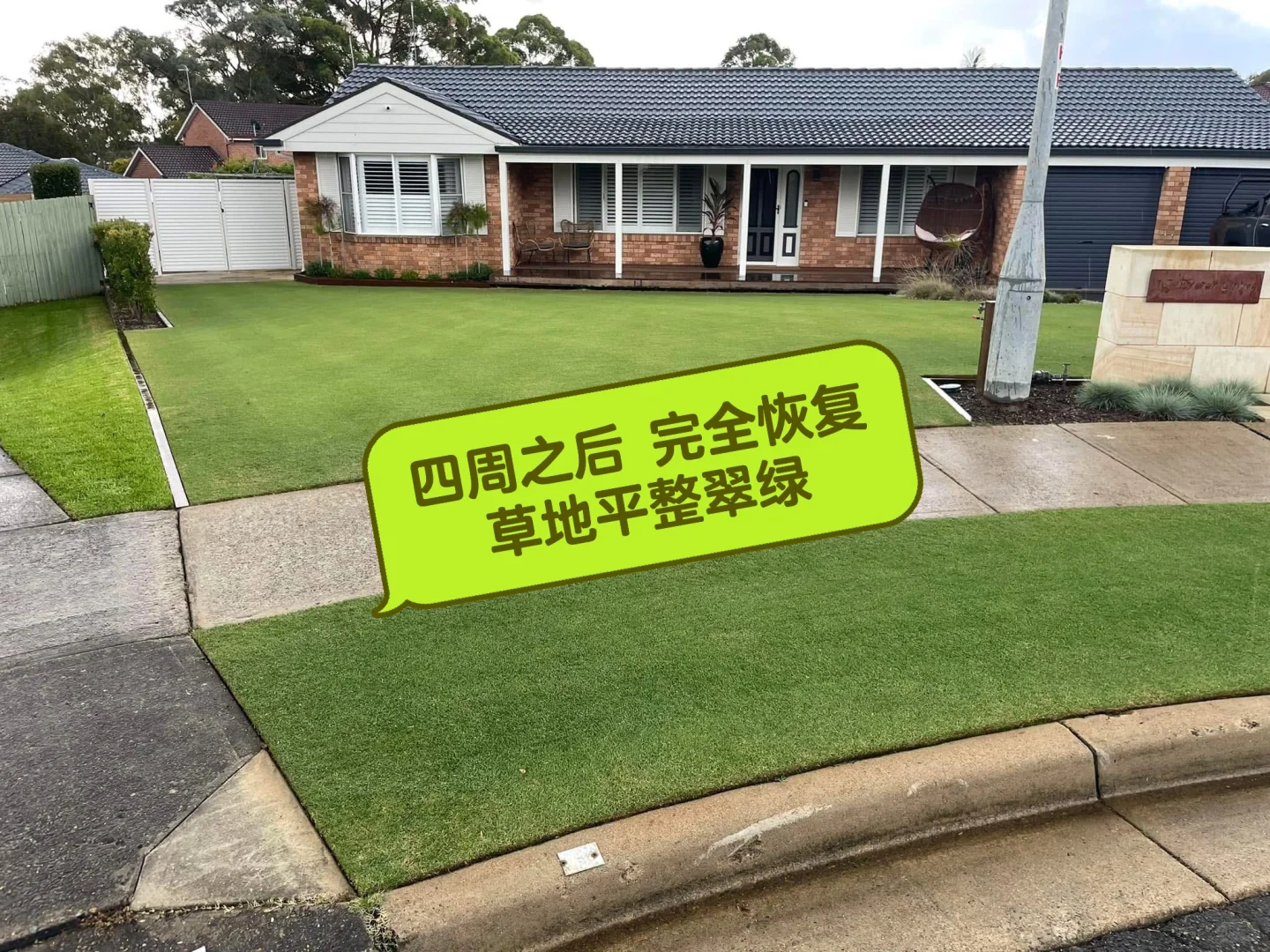 ?? 补土 top dressing 草坪维护