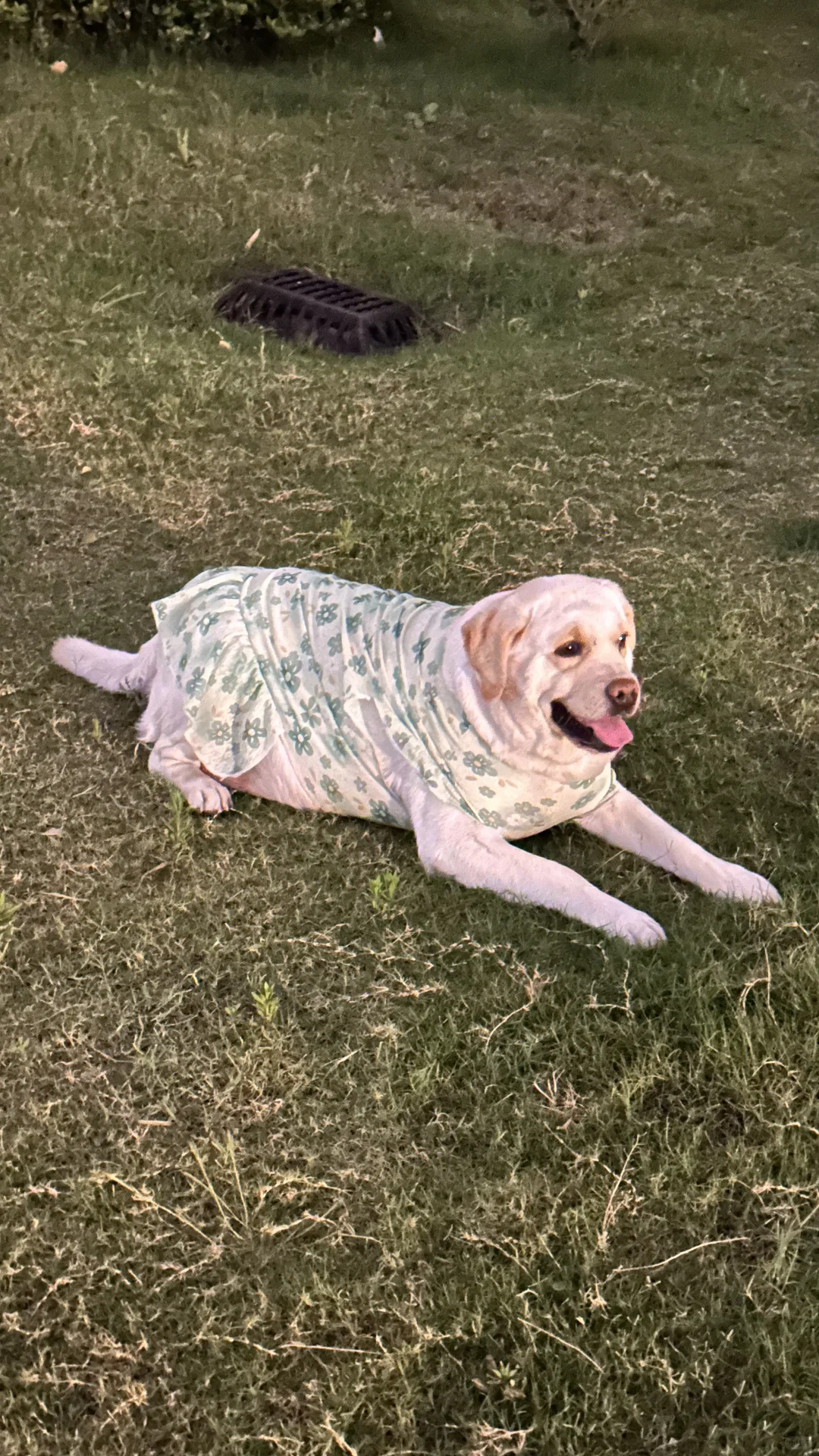 寻找塑料源头厂家 本人做国产进口PP PE颗粒