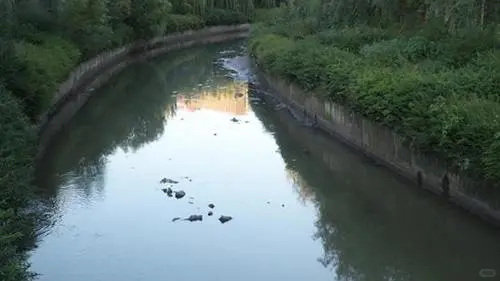 黑臭水体治理与长效改善技术实施要点