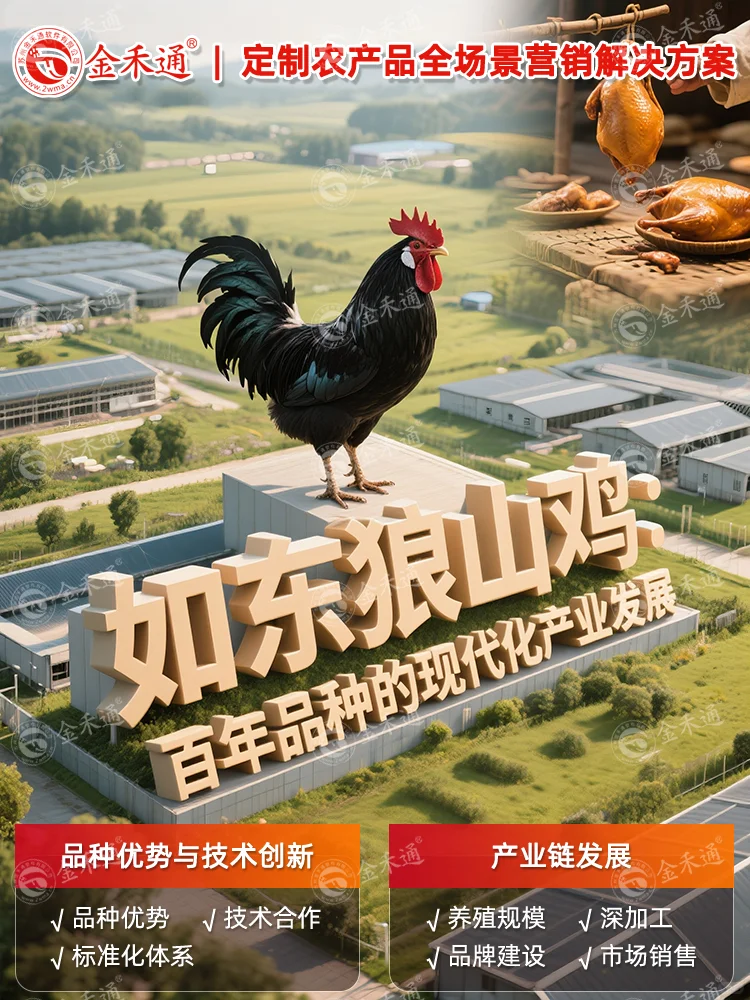 如东狼山鸡:百年品种的现代化产业发展