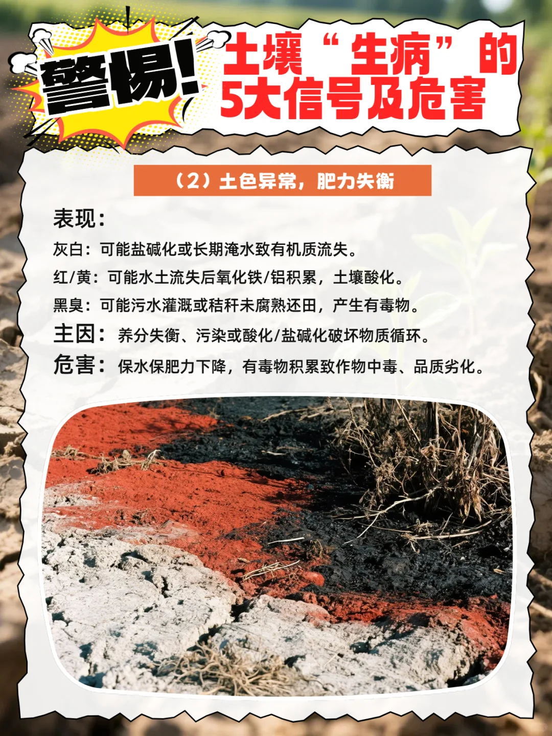 警惕！土壤“生病”的5大信号及危害