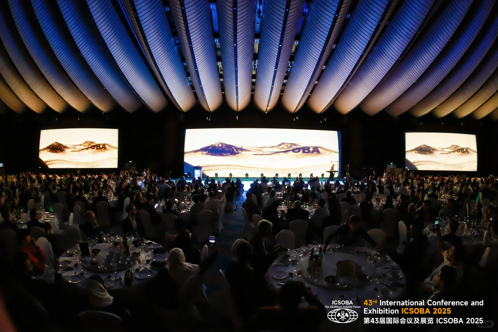 浅浅做一个世界性会议报告