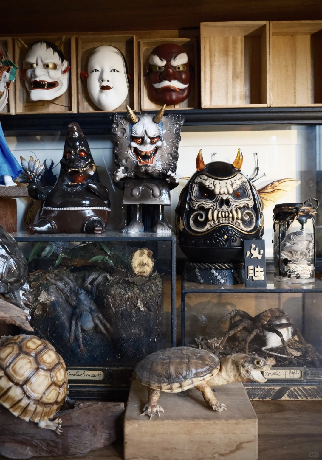 ?手办集｜拥有了一个理想中的好奇柜