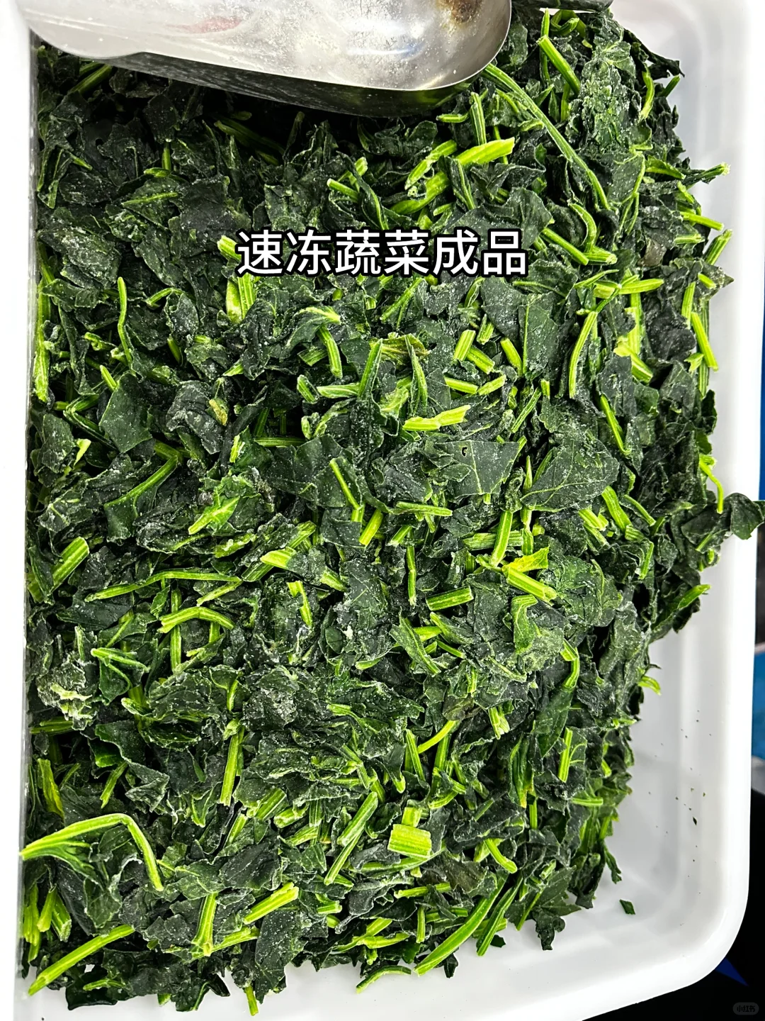 ?速冻蔬菜工厂大公开！让生鲜蔬菜更方便