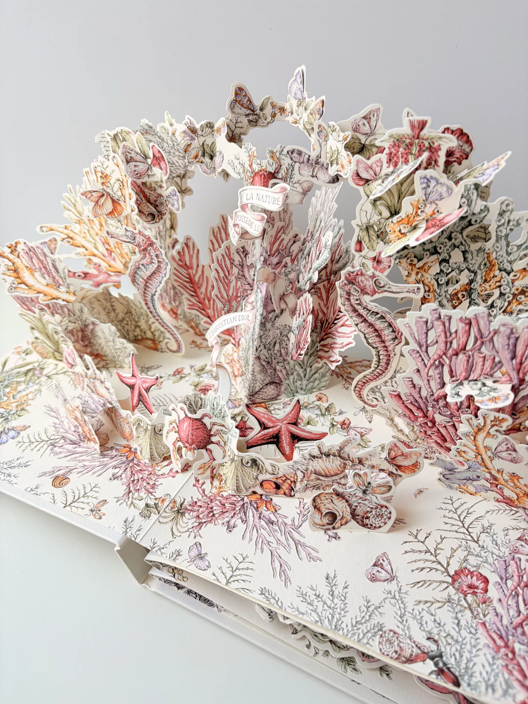 终于收到了这本迪奥立体书