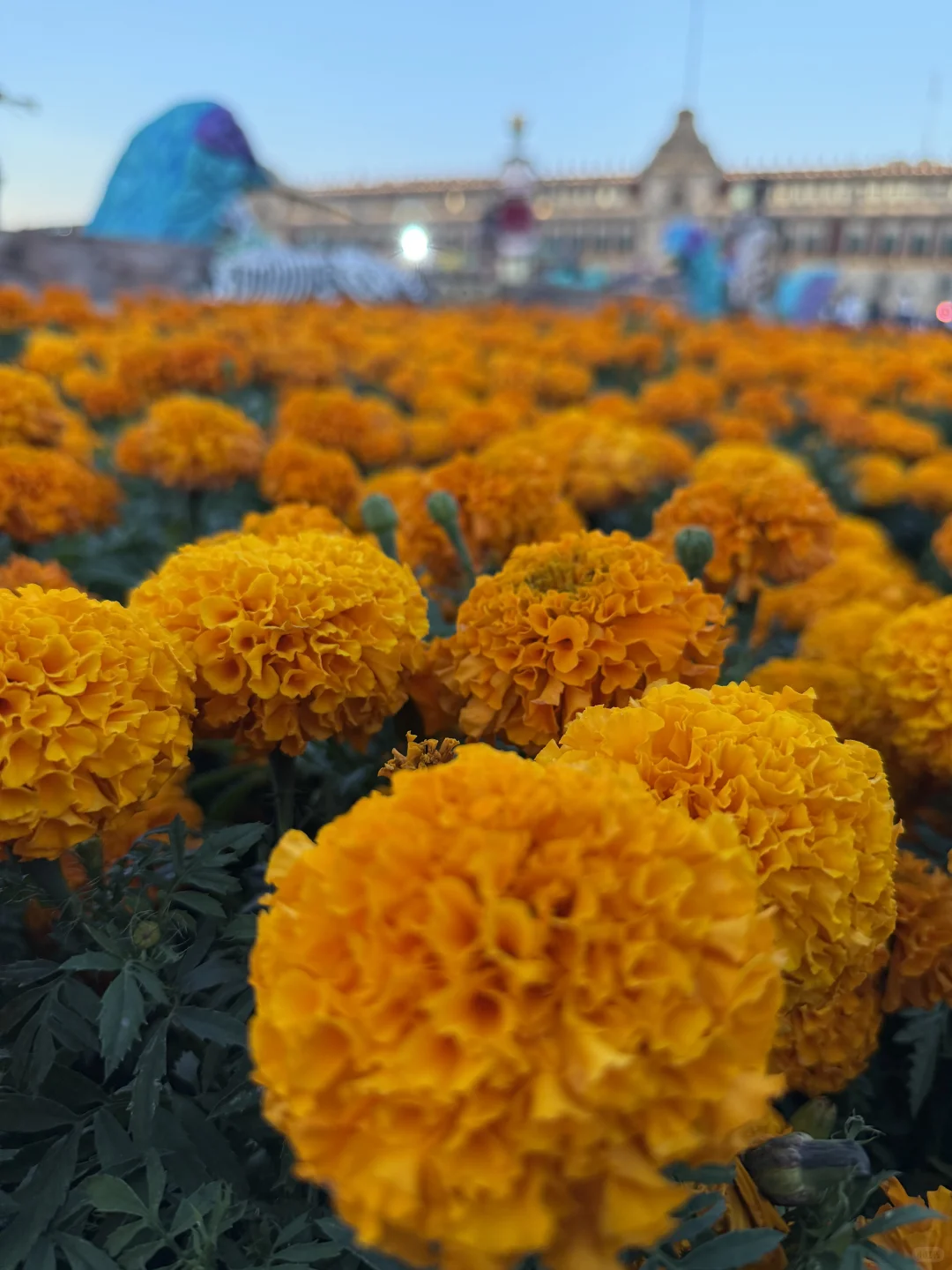 墨西哥城H1B续签DP