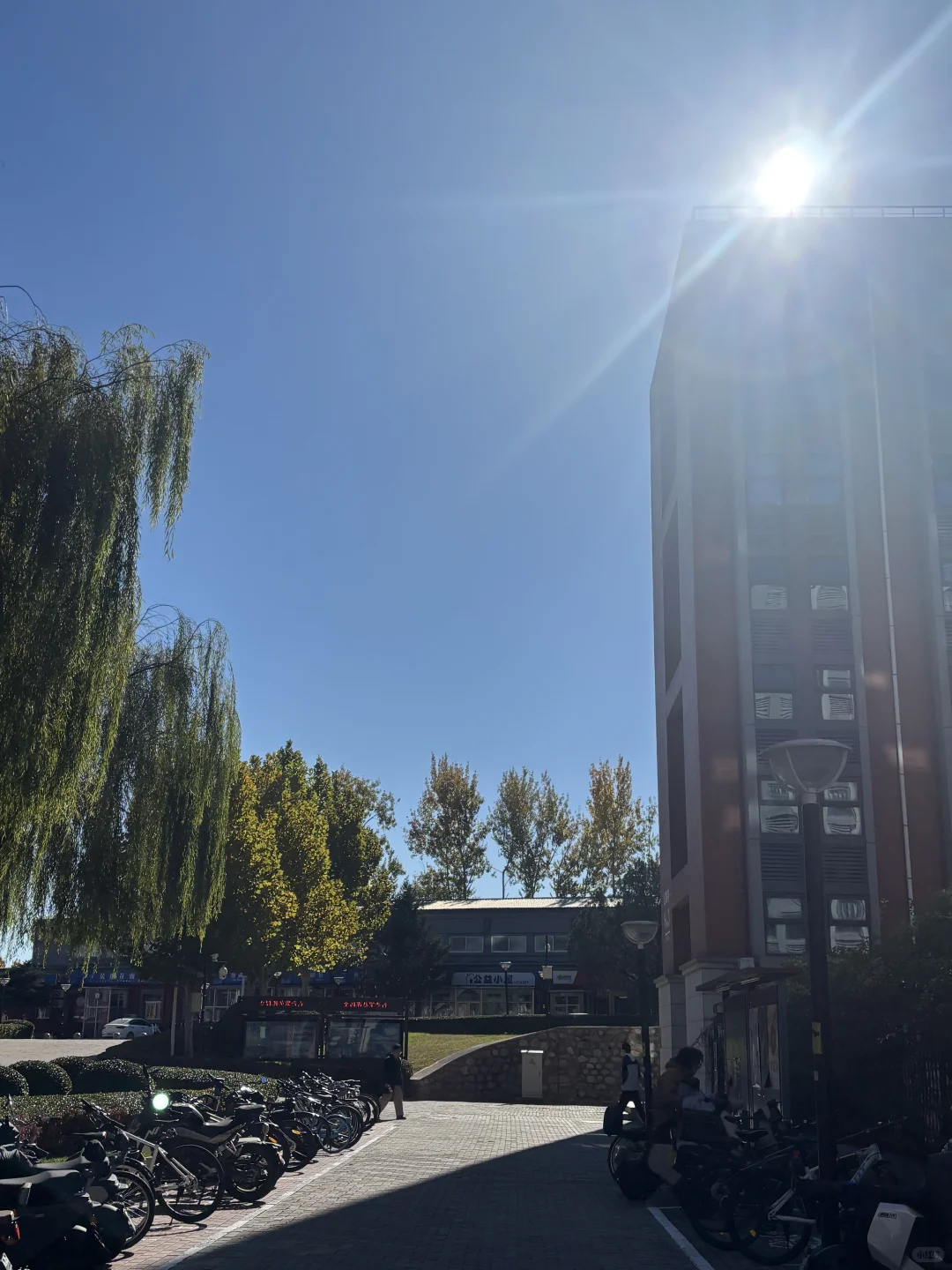 维生素D最充足的一集