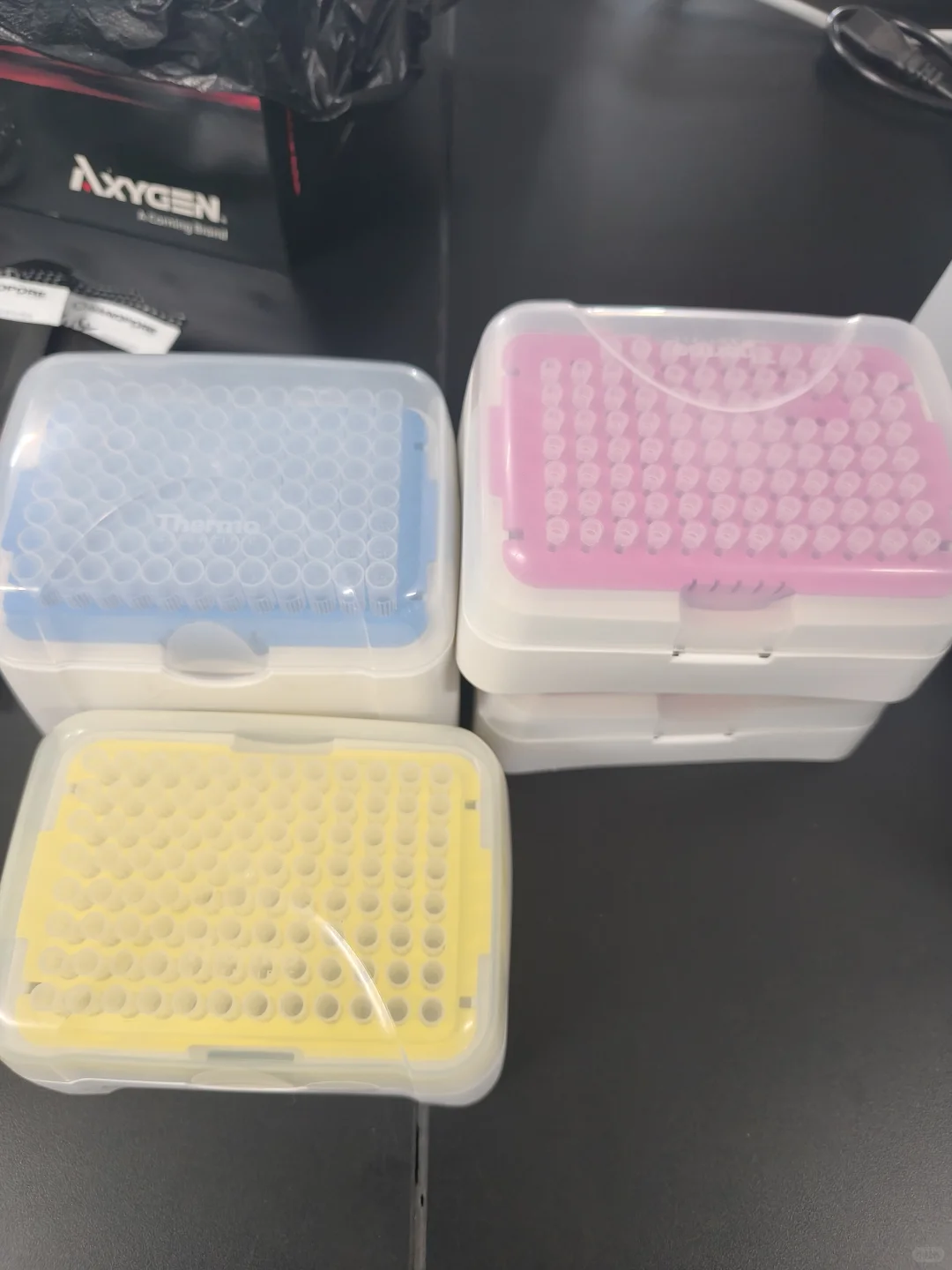 分子试验的一天