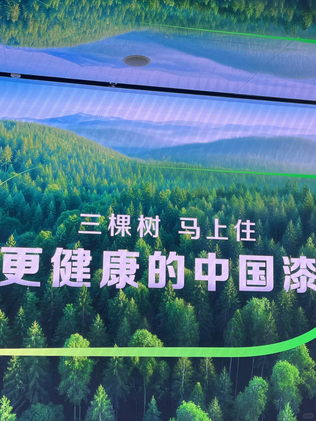 新房必看！三棵树|鲜呼吸·林萃|抗菌易擦