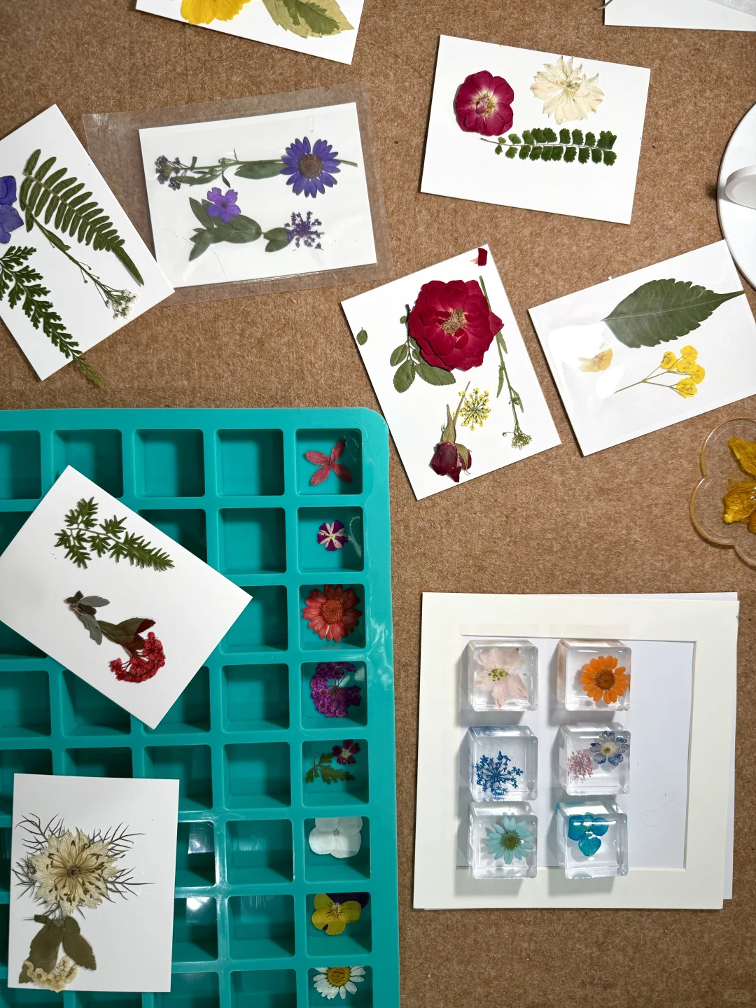 沉浸式压花｜治愈系小花花