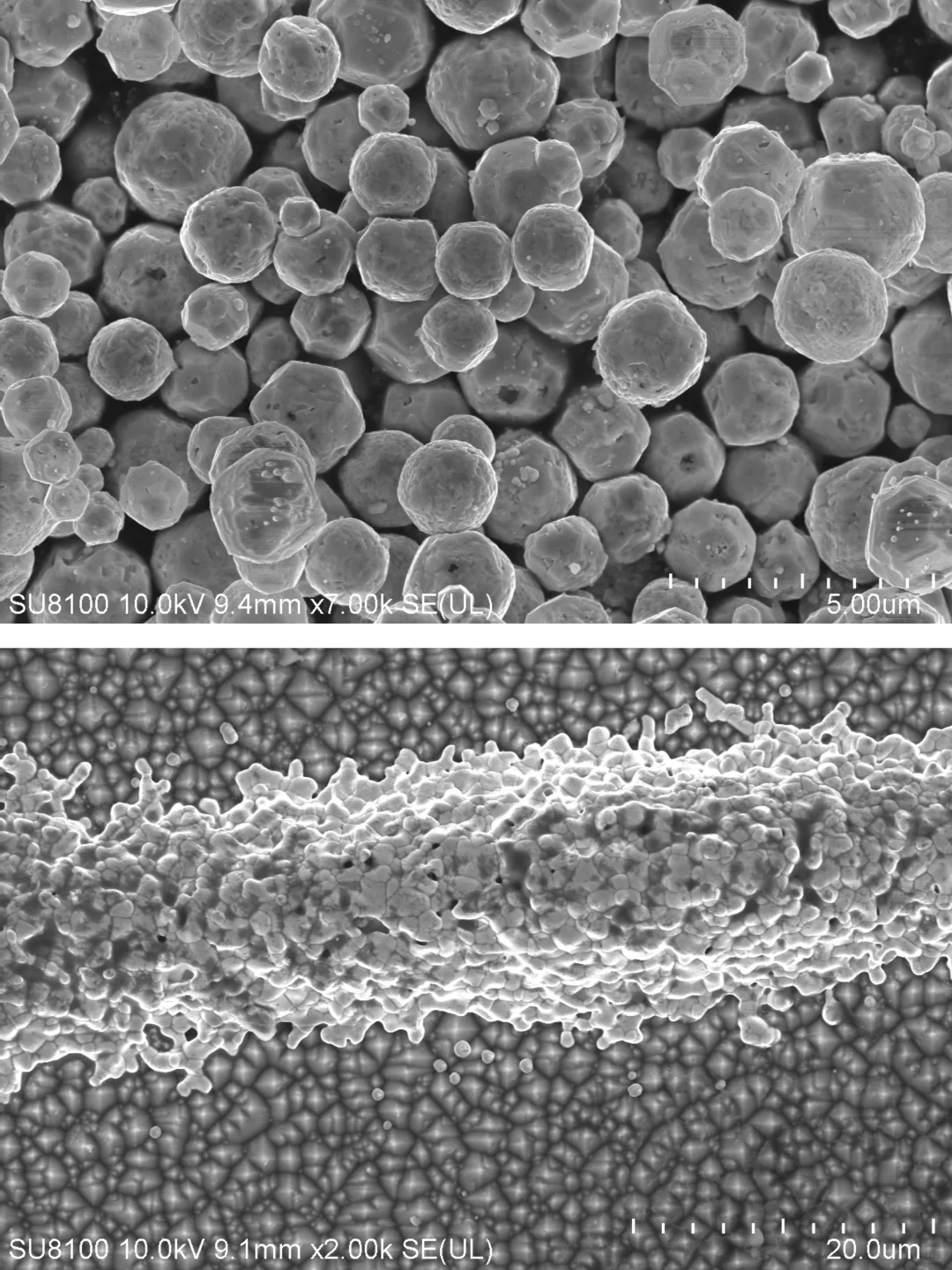 你的样品又双叒翻车了吗？SEM制样避坑指南