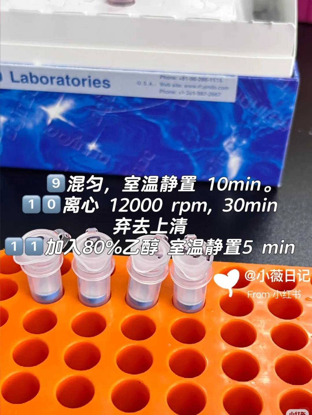 线粒体DNA拷贝数检测protocol详解✅